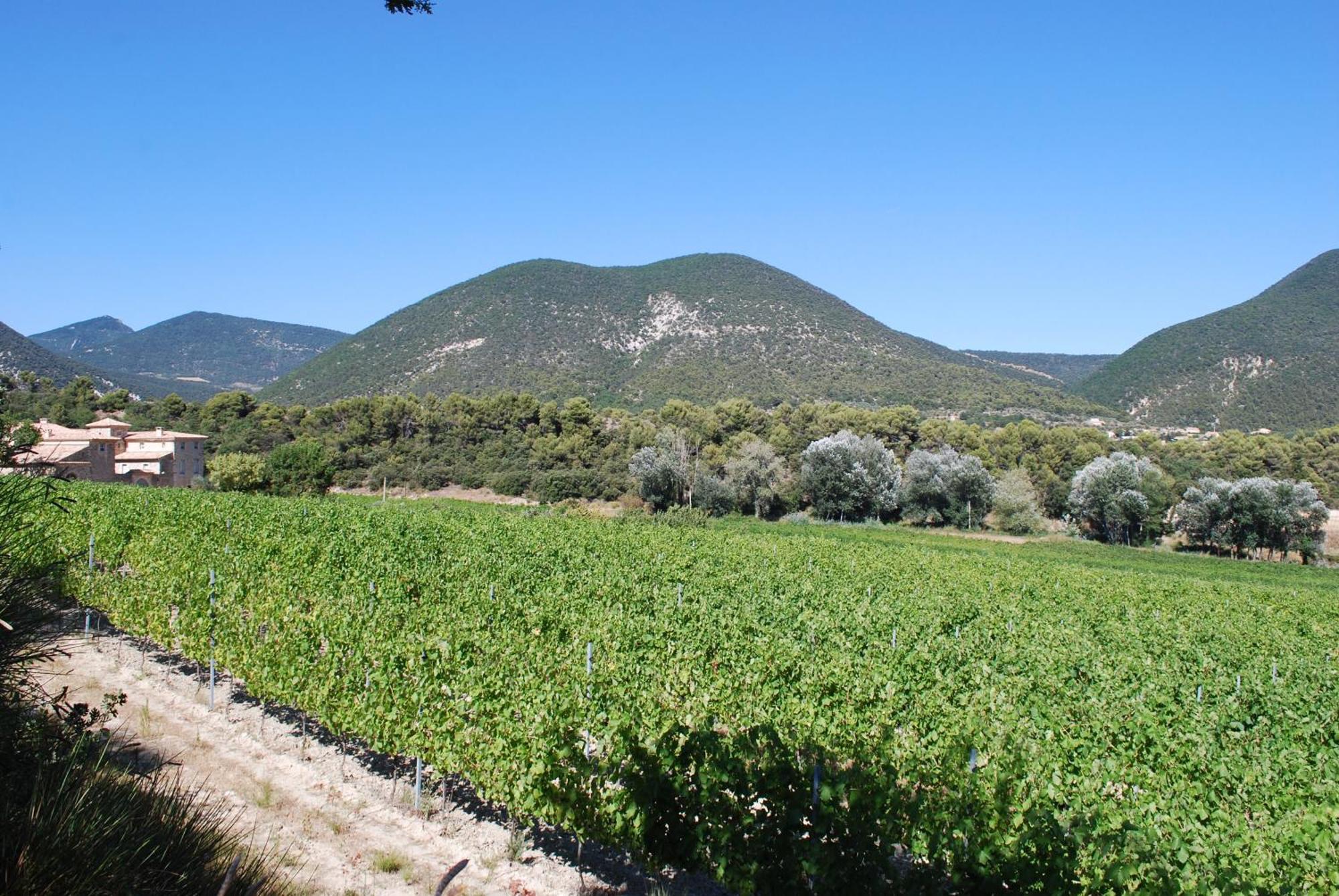 Domaine De Provensol Bed & Breakfast Venterol  Екстериор снимка