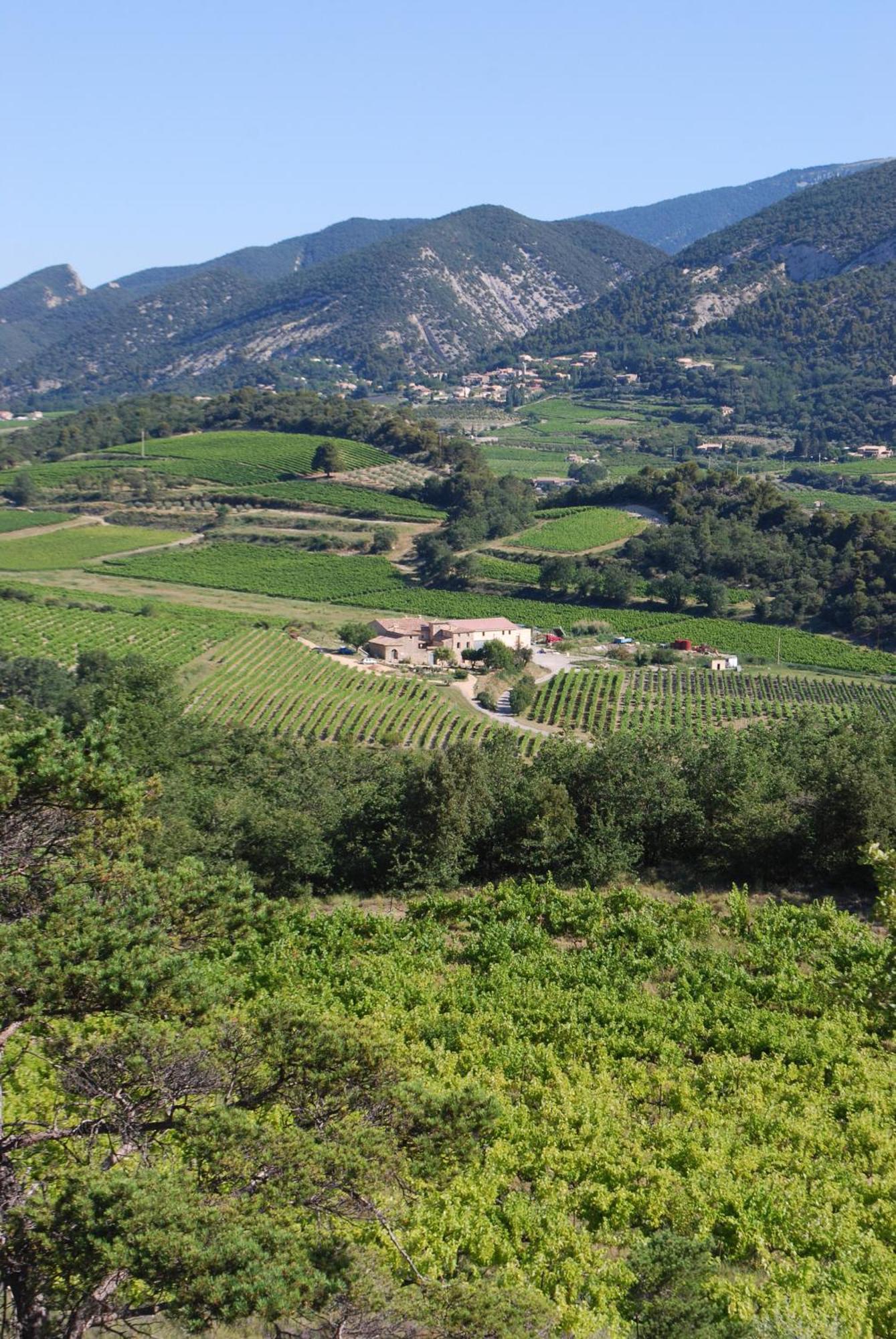 Domaine De Provensol Bed & Breakfast Venterol  Екстериор снимка