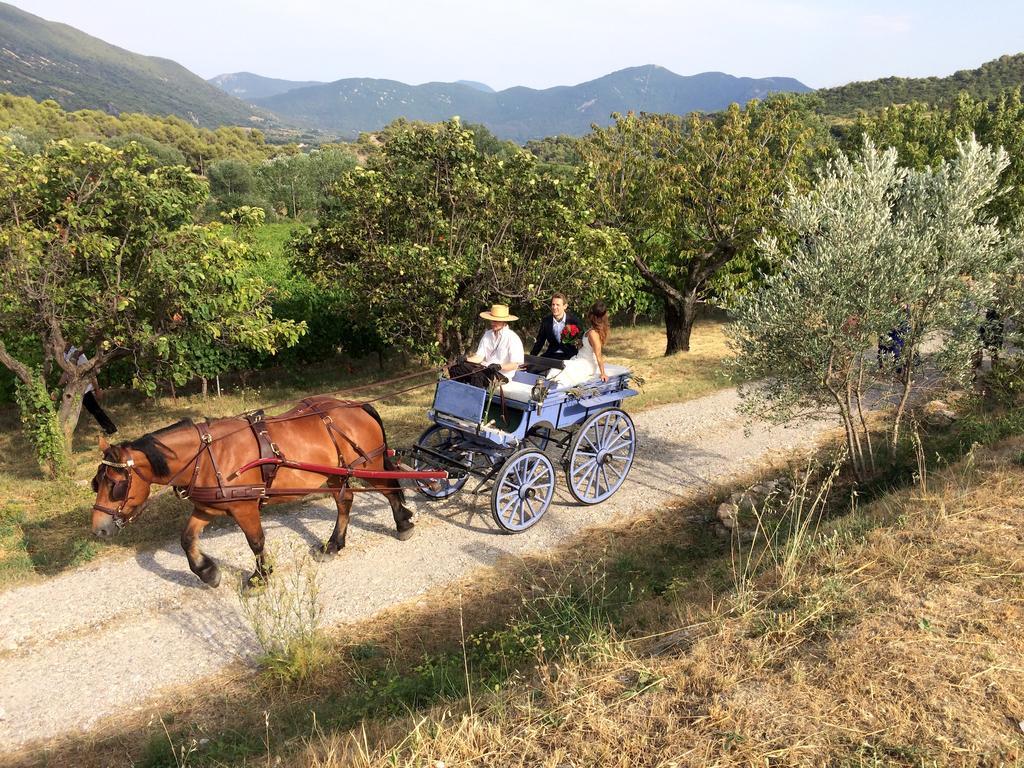 Domaine De Provensol Bed & Breakfast Venterol  Екстериор снимка